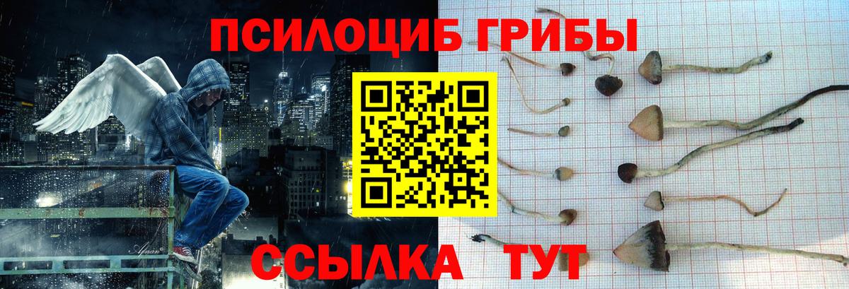 Ялуторовск  Псилоцибиновые грибы MAGIC MUSHROOMS  Вход с VPN 