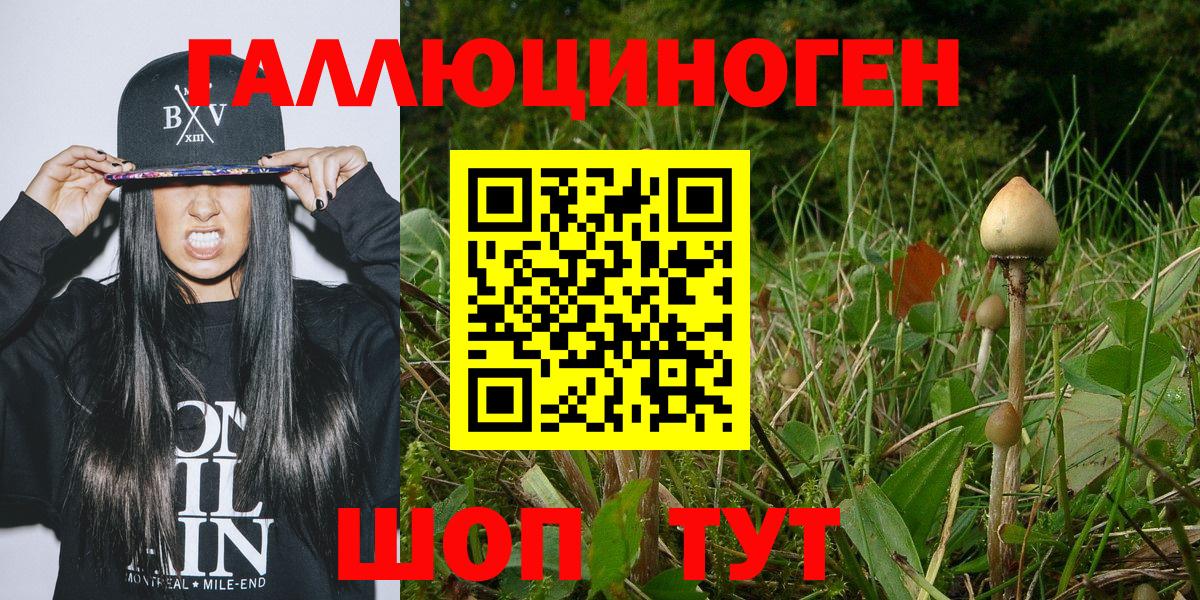 Псилоцибиновые грибы MAGIC MUSHROOMS Ялуторовск